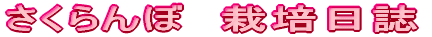 AB-HOUSE�ւ̃A�N�Z�X