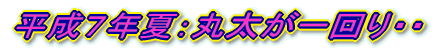 �����T�N�F���n��� 