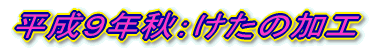 �����T�N�F���n��� 