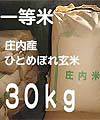 �ЂƂ߂ڂꌺ��30kg�l
