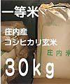 �R�V�q�J������30kg