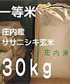 �T�T�j�V�L30kg�l
