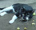 �L�ƃ}�^�^�r5