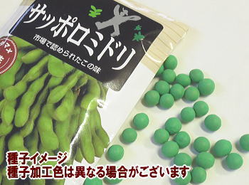 枝豆サッポロミドリ