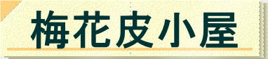 �~�Ԕ珬��