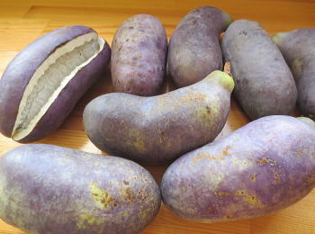 уoC