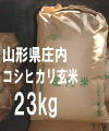 RVqJ23kg