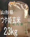 P23kgl