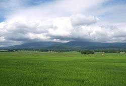 ViS