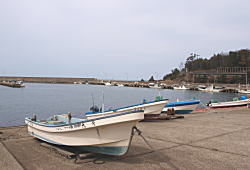 RiS