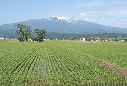 UiP