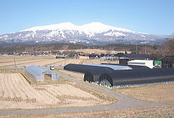 3iR
