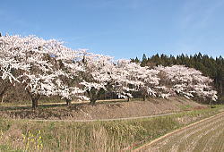 4iR