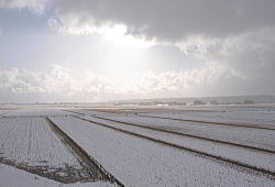 12iR