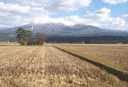 11�����i�P