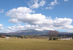 11�����i�Q