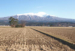 12�����i�P