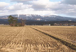 1�����i�P