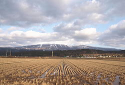 1�����i�Q