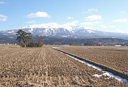 2�����i�P