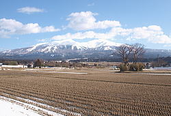 2�����i�R