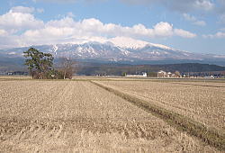 3�����i�P