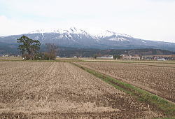 4�����i�P