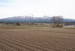 4�����i�Q