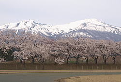 4�����i�S