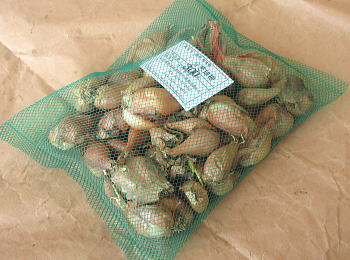 PM300g