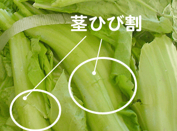 ؁ijsЂъC[W