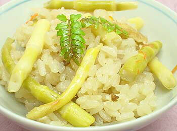 �|�̎q���͂�