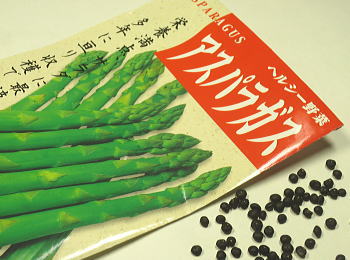 AXpKX