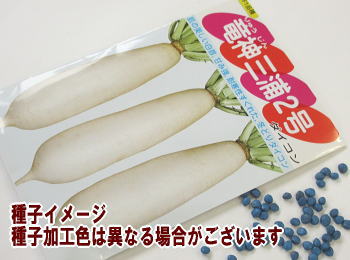 _OY񍆑卪
