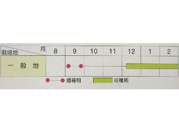 _OY񍆑卪