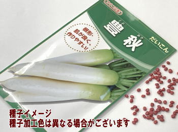 JlRzLH卪