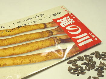̐咷ڂ
