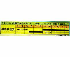 ̐咷ڂ