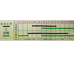 ӂ񑐐