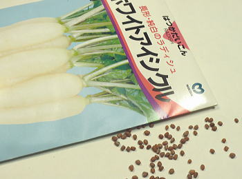 \卪zCgACVN