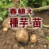 �t�A������E�c