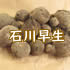ΐ쑁