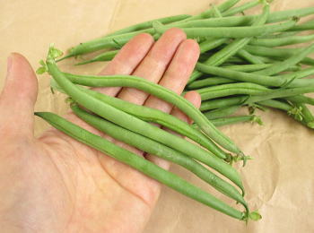 An