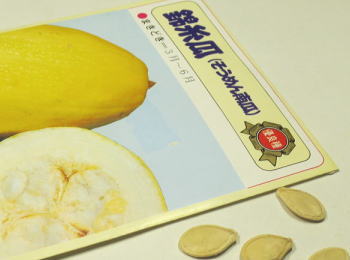 юZ߂񂩂ڂ