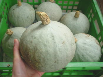 zƂĂڂn