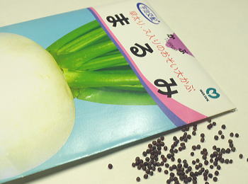 Fz܂ݕ
