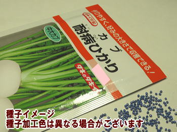 ^LCzϕaЂ肩