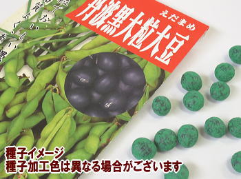 Og㍕哤
