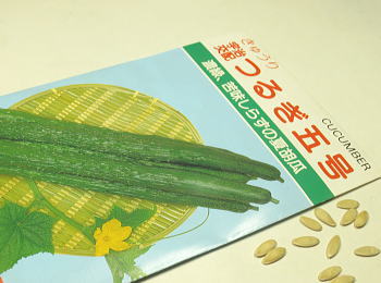 Fz邬܍