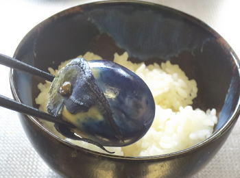 z疡ۂȂЂ͂
